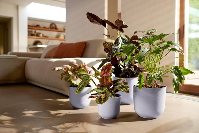 jazz rund 30cm lavendel lila